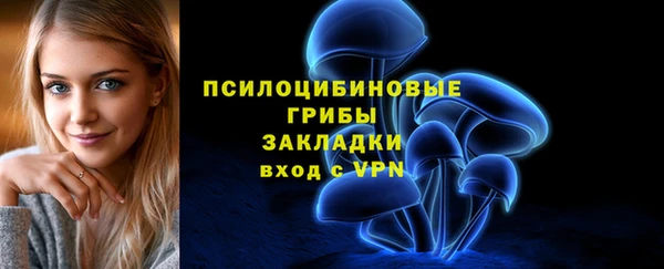прущие крисы Абаза