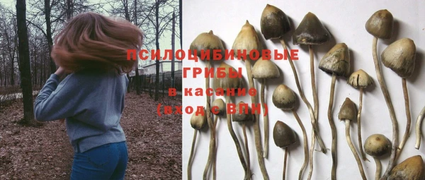 МДПВ Алзамай