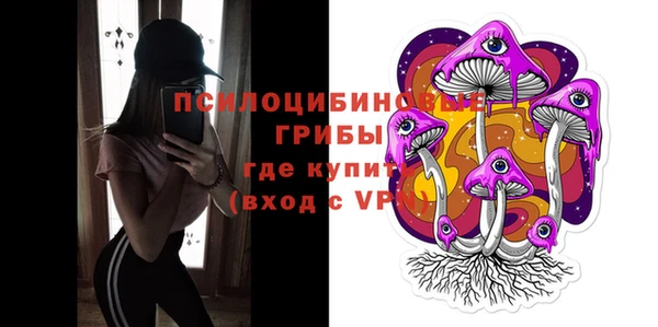 прущие крисы Абаза