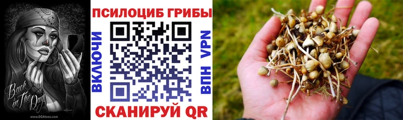 Псилоцибиновые грибы MAGIC MUSHROOMS  как найти закладки  Монино 